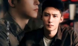 上瘾电视剧在线观看,揭秘上瘾电视剧在线观看的魅力